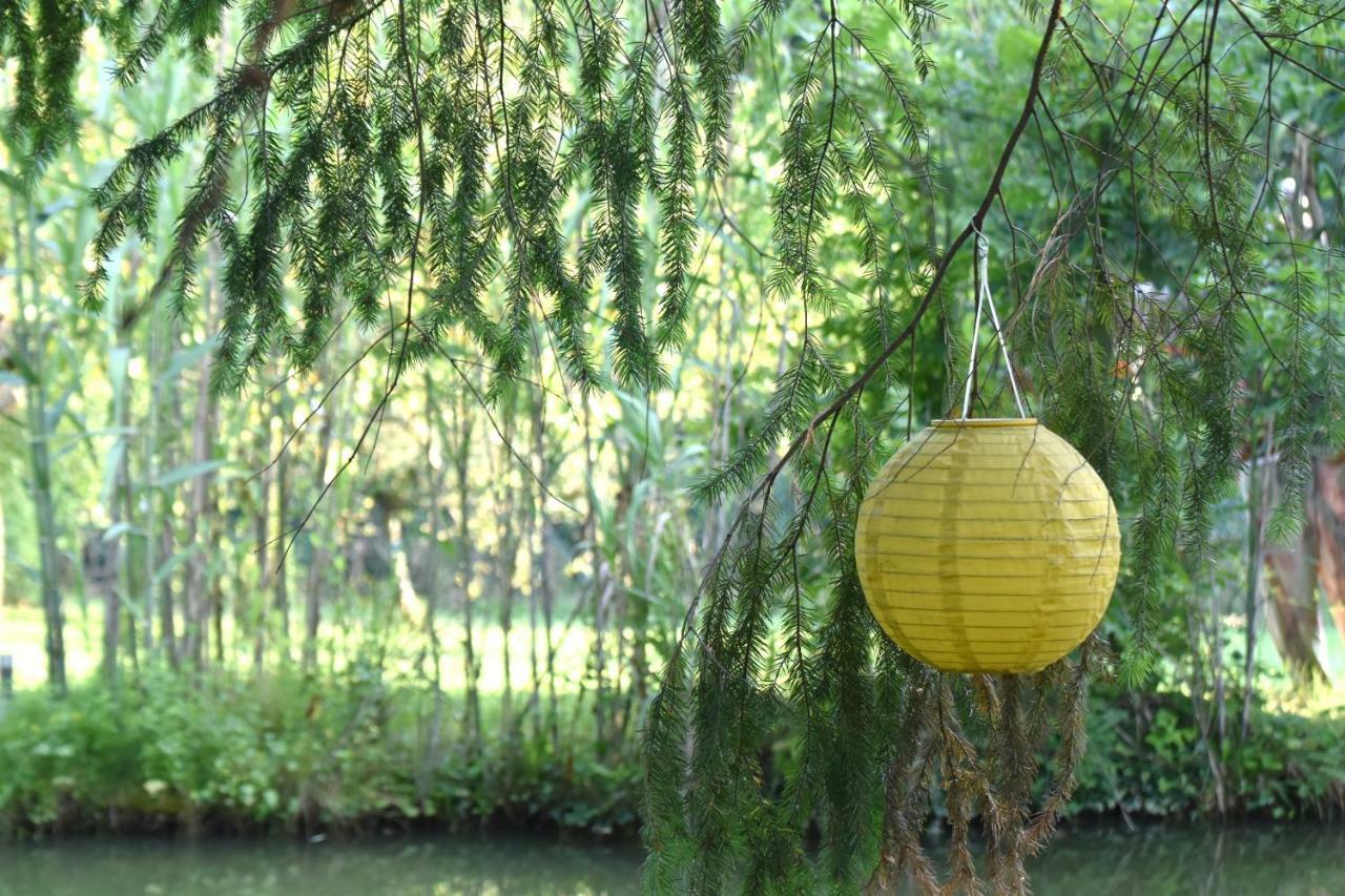拉马尔奥克斯卡纳兹住宿加早餐旅馆 Cordieux 外观 照片